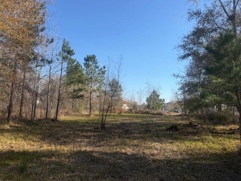 Photo of 761 County Road 3556, Cleveland, TX 77327 (MLS # 12109971)