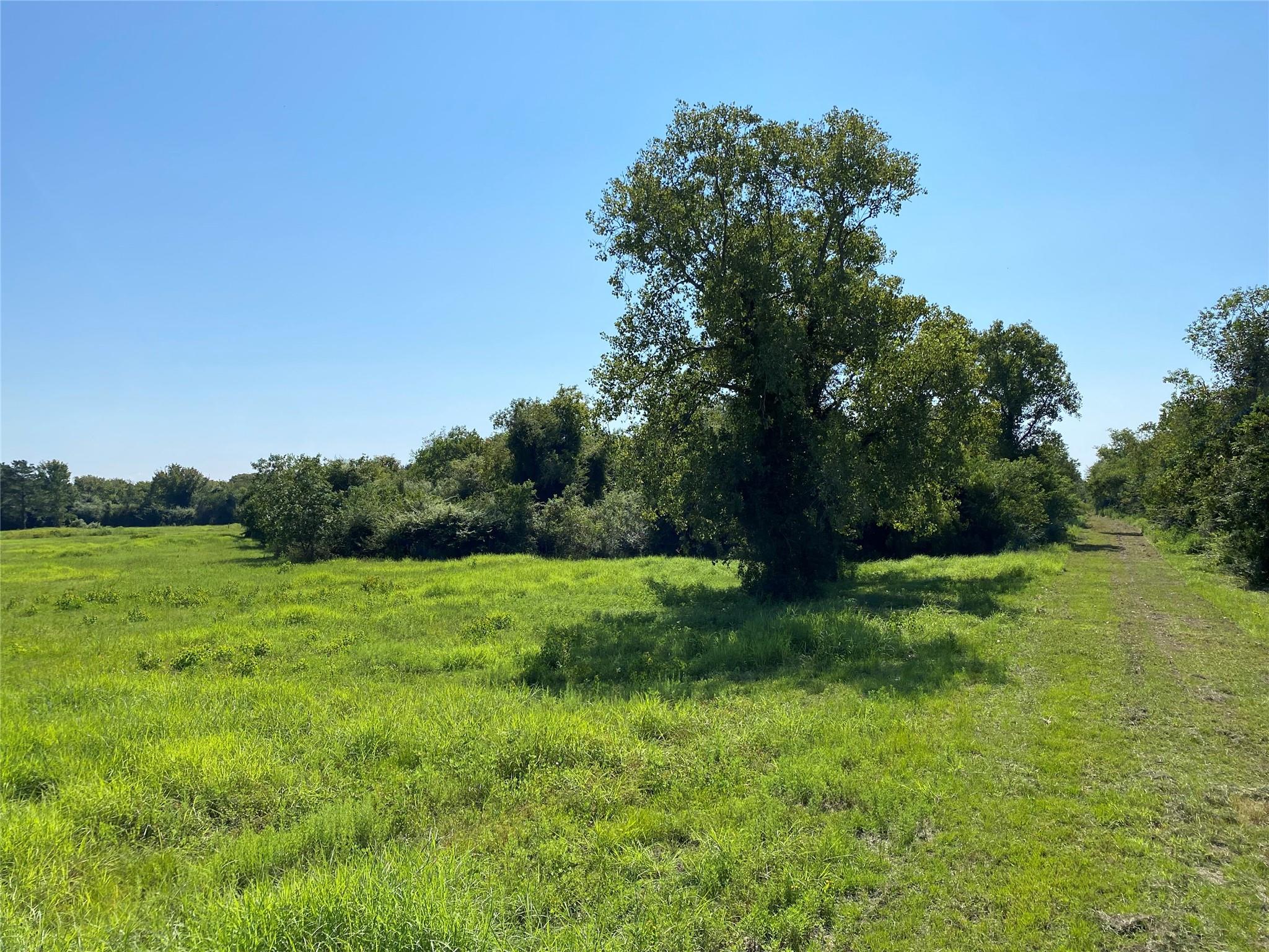 6115 S Highway 35