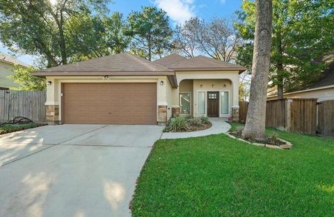 13086 Hydra Court Willis TX 77318
