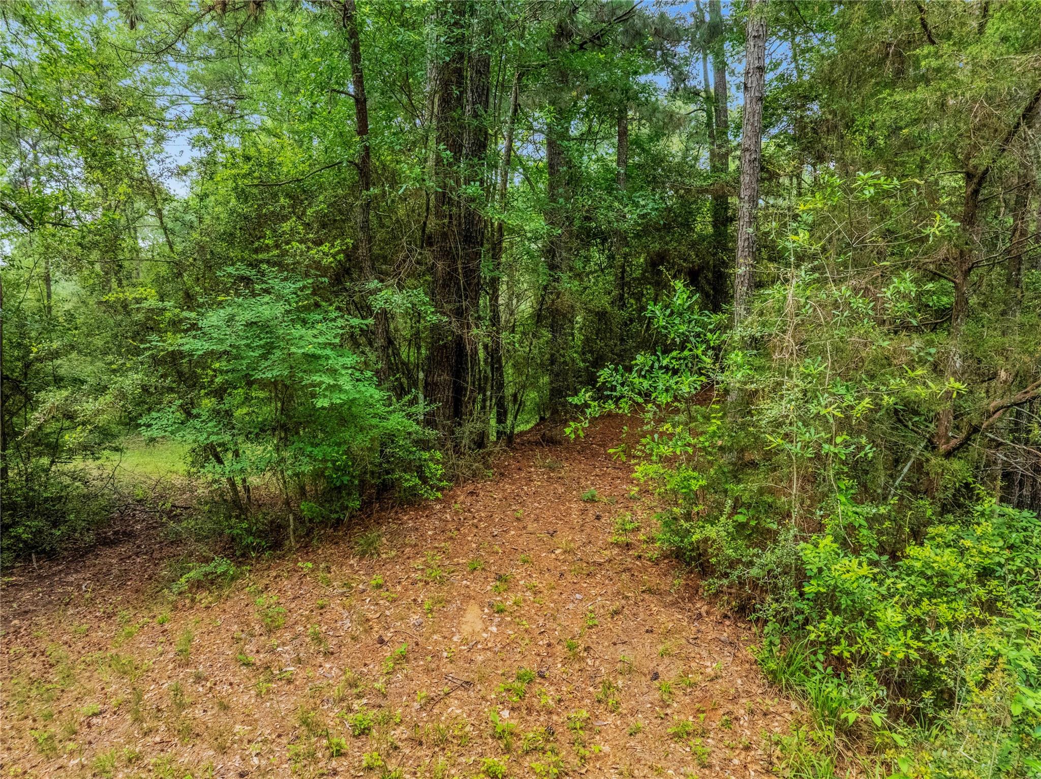 15255 CC Rogers Road