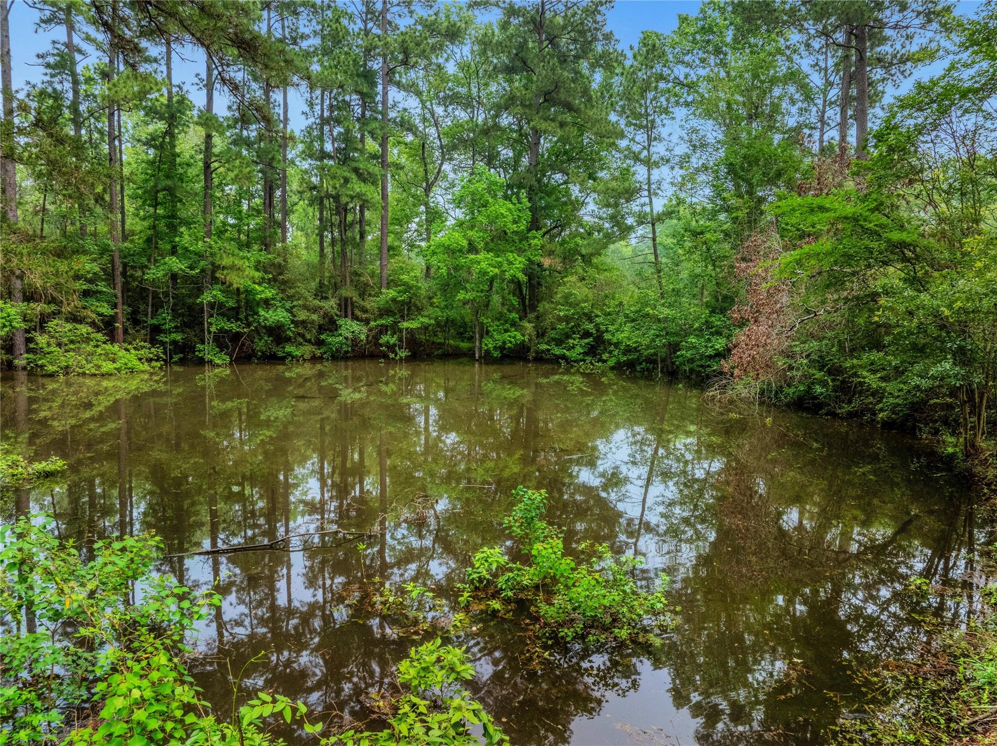 15255 CC Rogers Road