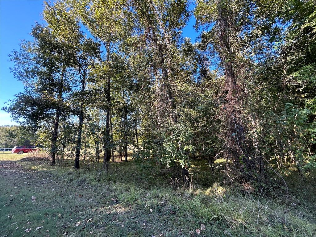 Photo of 10 Cypress Lakes Drive, Cleveland, TX 77327 (MLS # 18684486)