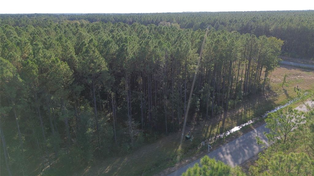 Photo of 1683 Road 66115, Dayton, TX 77535 (MLS # 78539749)