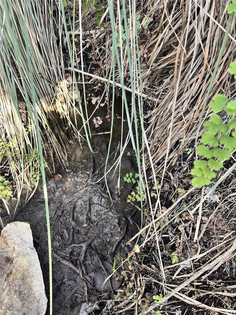 Vacant Land For Sale - 8101 Chantily Cove<br/> Leander, TX 78645