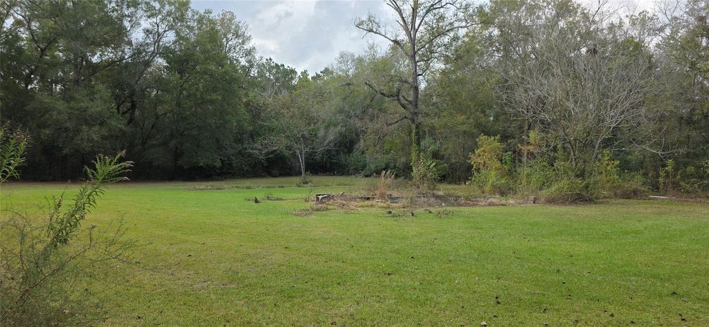 Photo of 149 Green Street, New Caney, TX 77357 (MLS # 87378209)