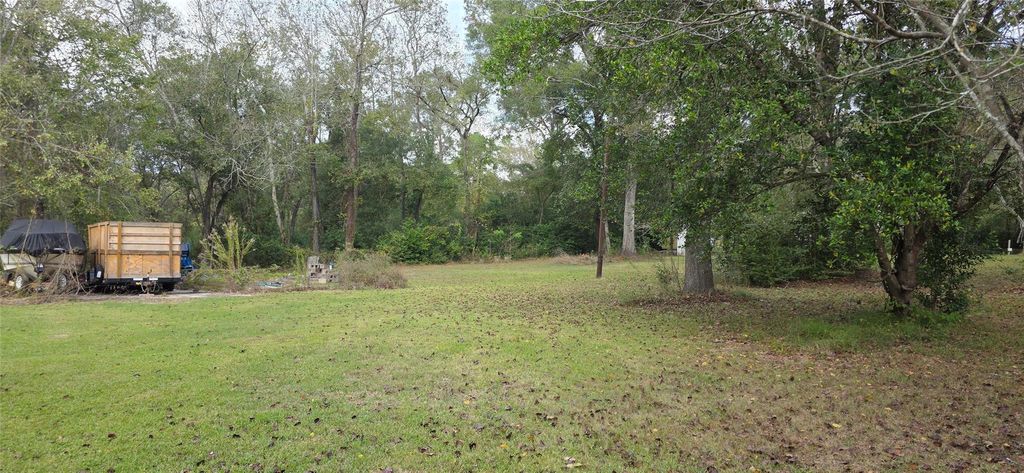 Photo of 149 Green Street, New Caney, TX 77357 (MLS # 87378209)