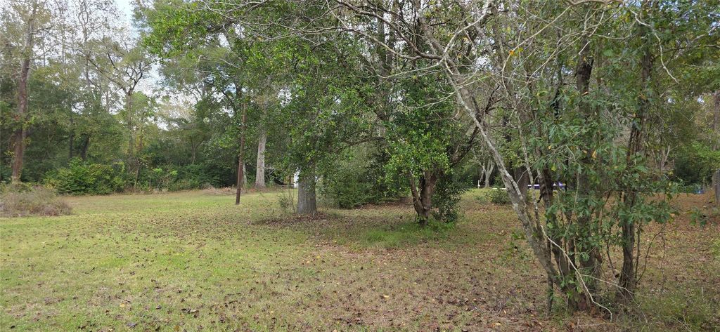 Photo of 149 Green Street, New Caney, TX 77357 (MLS # 87378209)