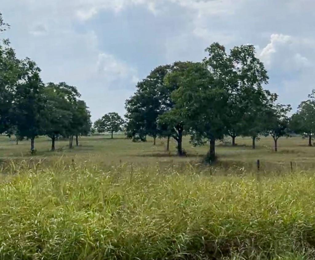 Tract #1 Hwy 21 E,