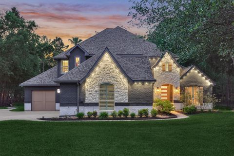 Photo of 28435 E Benders Landing Boulevard, Spring, TX 77386 (MLS # 97815207)