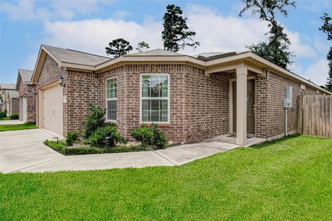 Photo of 22610 Steel Blue Jaybird Drive, Hockley, TX 77447 (MLS # 55284640)