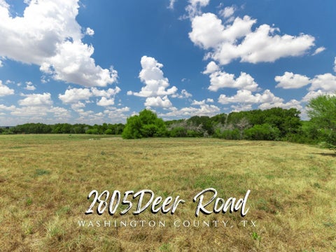Photo of 2805 Deer Road, Brenham, TX 77833 (MLS # 77541846)