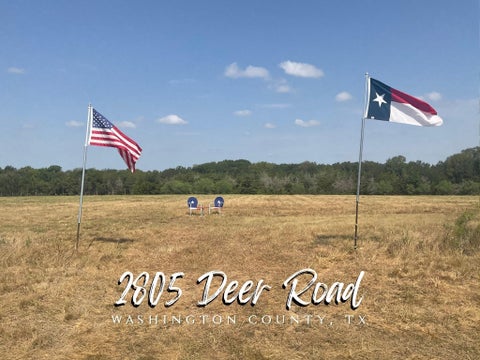 Photo of 2805 Deer Road, Brenham, TX 77833 (MLS # 77541846)