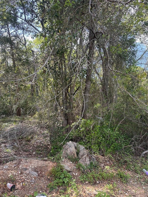 Vacant Land For Sale - S 7th Street<br/> Montgomery County, Conroe, TX 77301