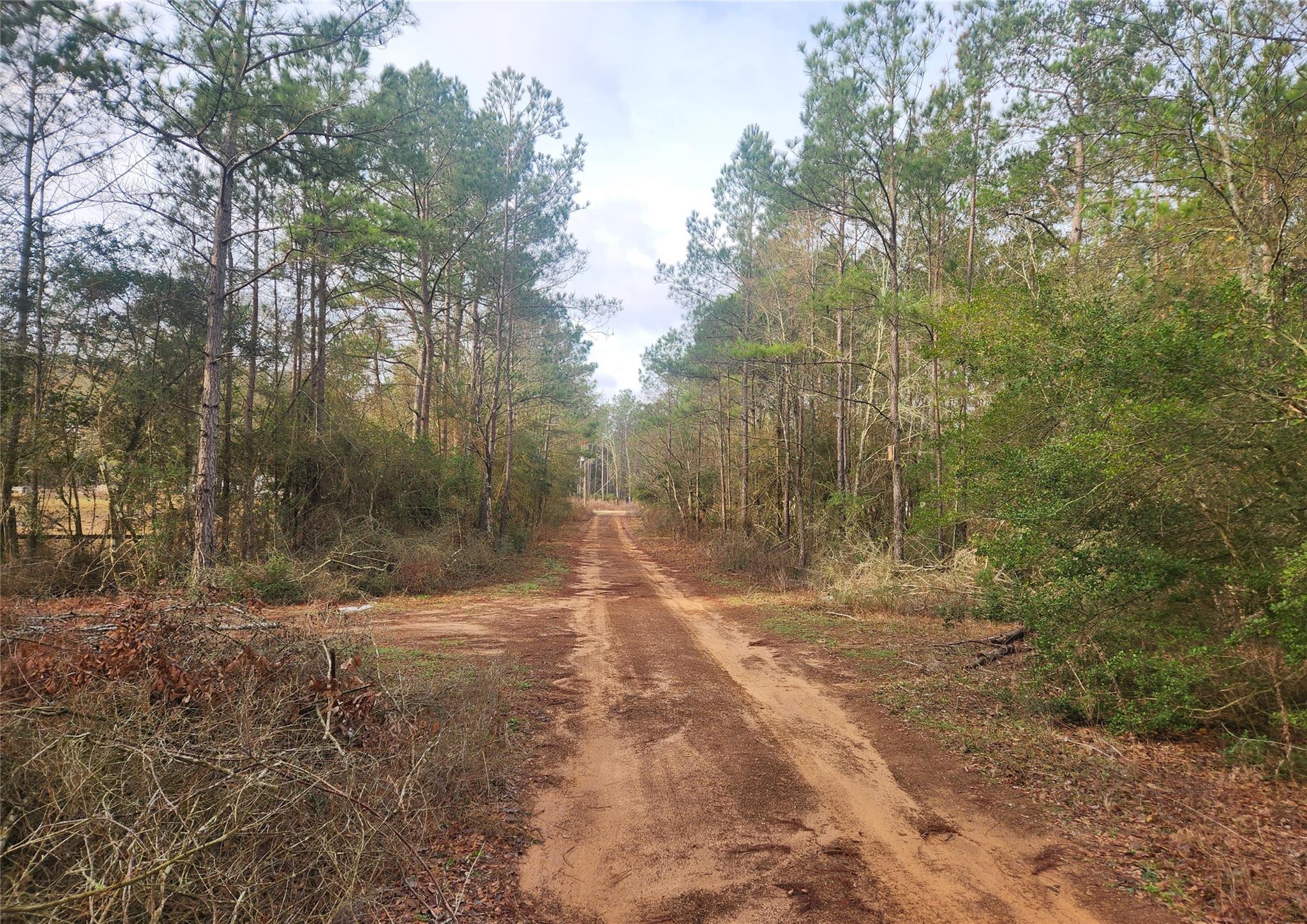 Lot 5 Pin Oak Drive