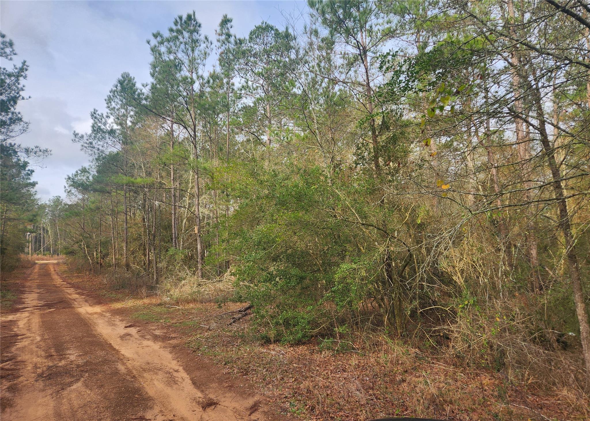 Lot 5 Pin Oak Drive