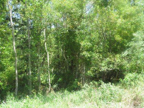 Photo of 782 County Rd 728, Sweeny, TX 77480 (MLS # 11278486)