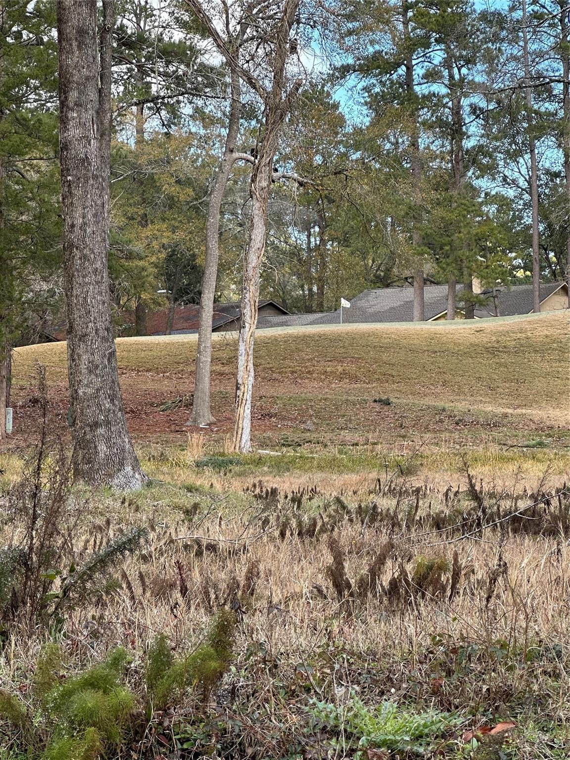 169 Brook Hollow Drive