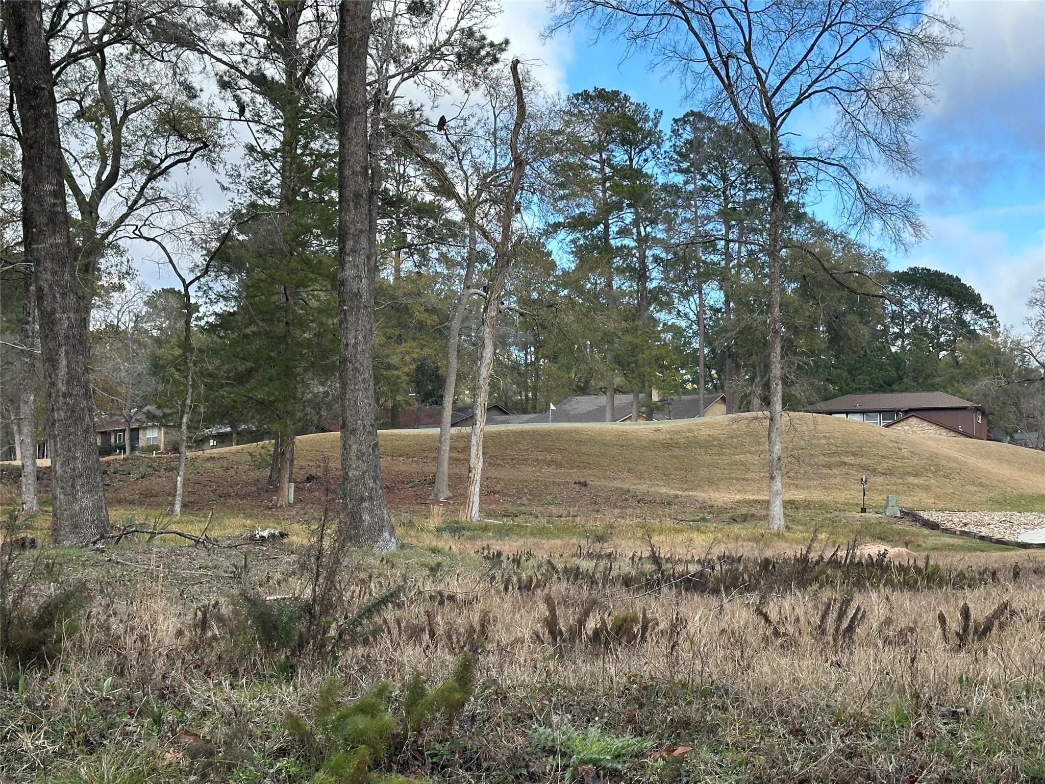 169 Brook Hollow Drive