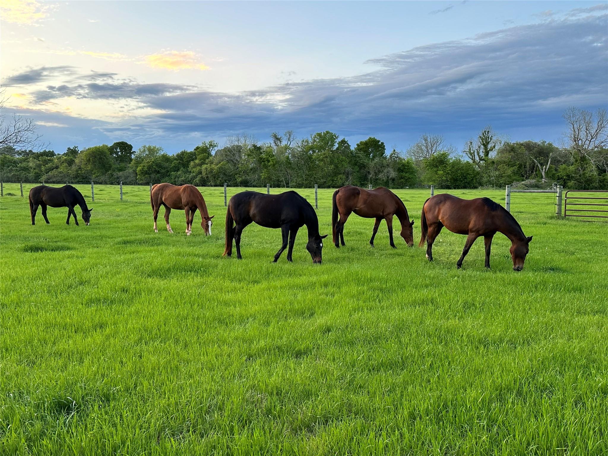 2100 Peach Ridge Road