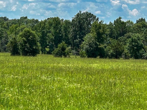 Photo of 3 Highway 7 West, Crockett, TX 75835 (MLS # 66557229)