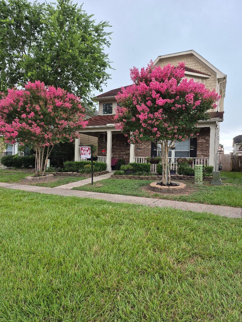 21867 Mossy Field Lane