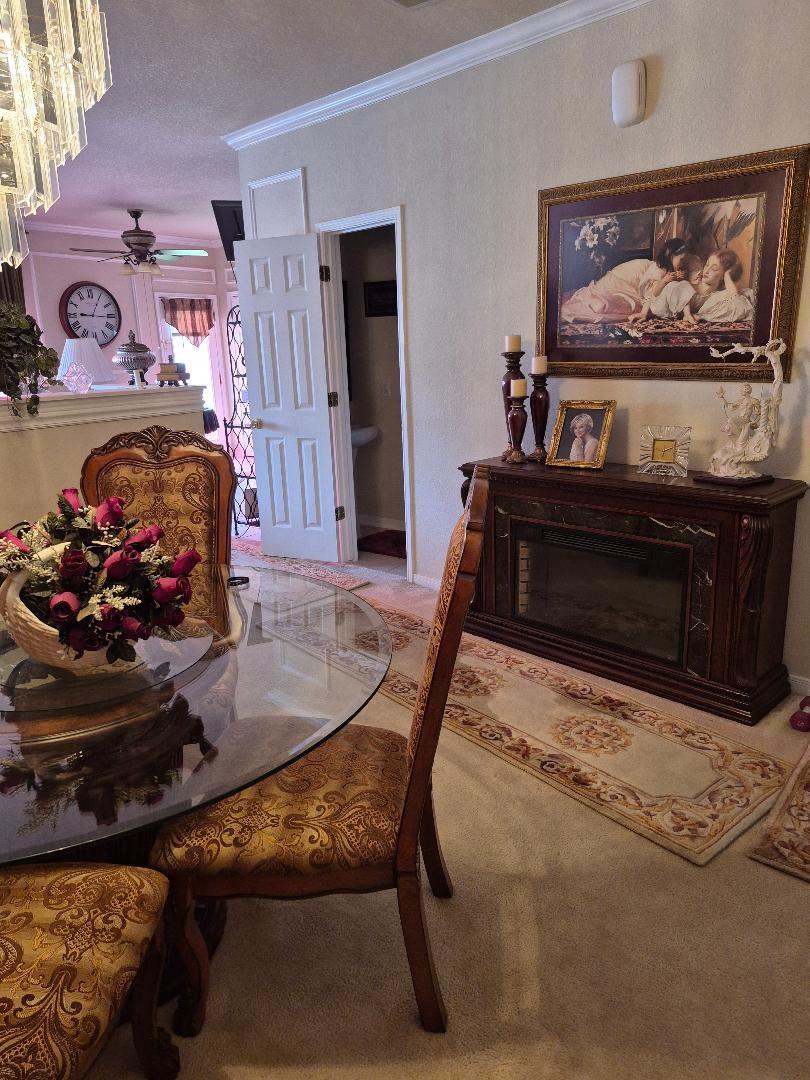 21867 Mossy Field Lane