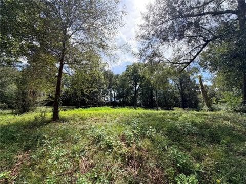 Photo of 2049 Us Highway 190 W, Woodville, TX 75979 (MLS # 46220777)