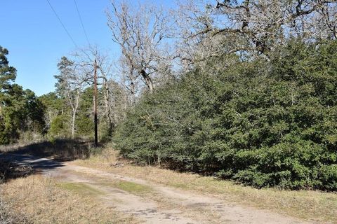 Photo of 8900 Fm 229, Grapeland, TX 75844 (MLS # 33786259) Photo of 8900 Fm 229, Grapeland, TX 75844 (MLS # 33786259)