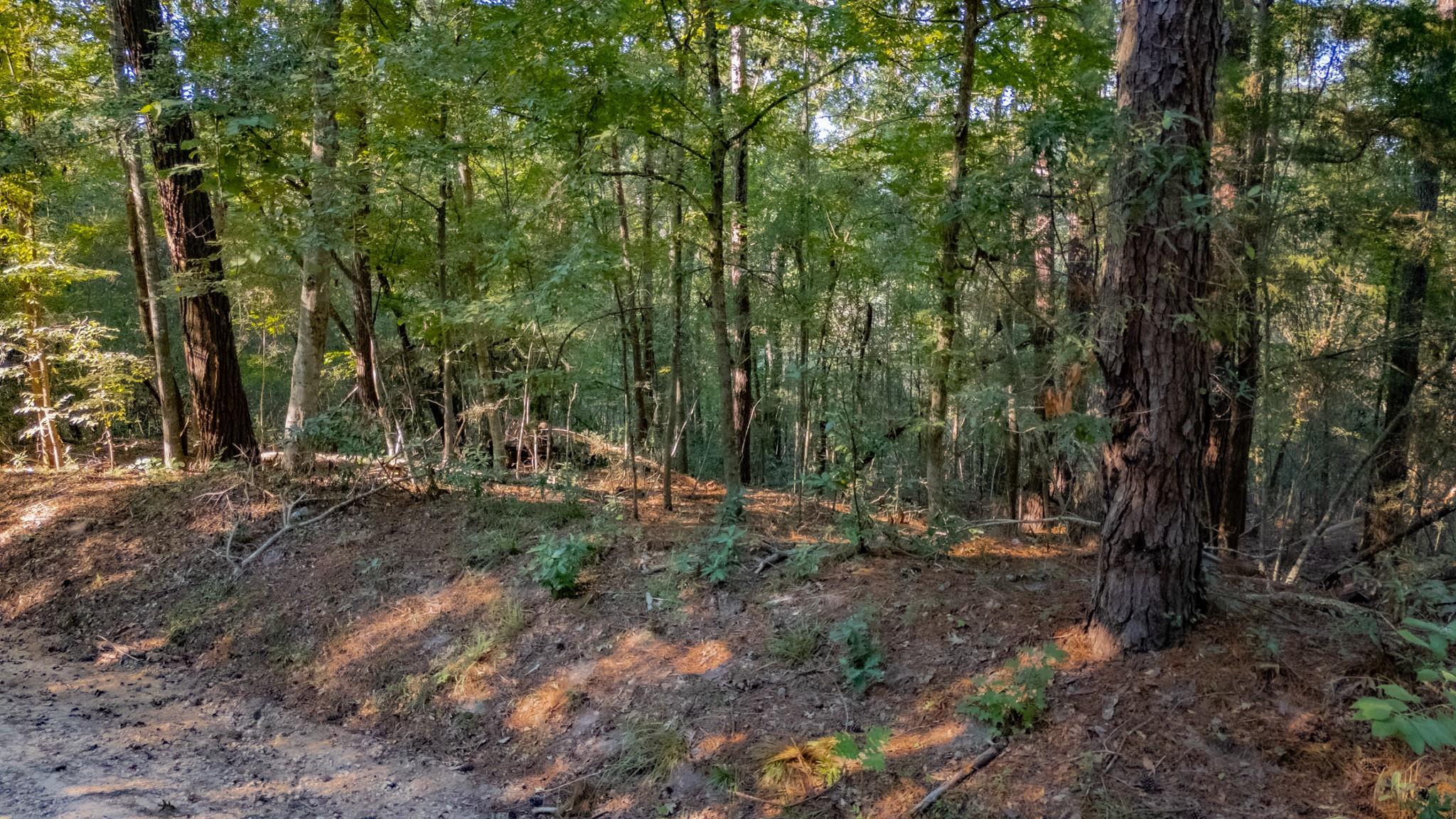 TBD E Slumberlane Drive
