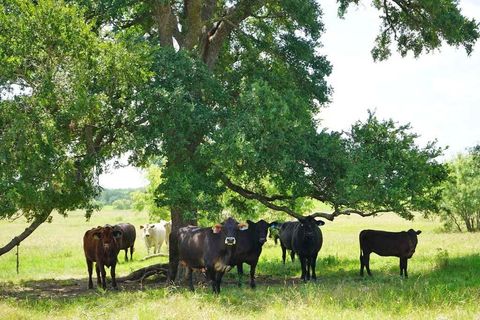 Photo of 50 County Road 419, Navasota, TX 77868 (MLS # 17885554)