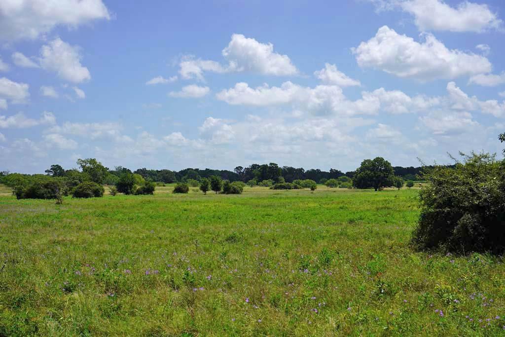 0050 County Road 419