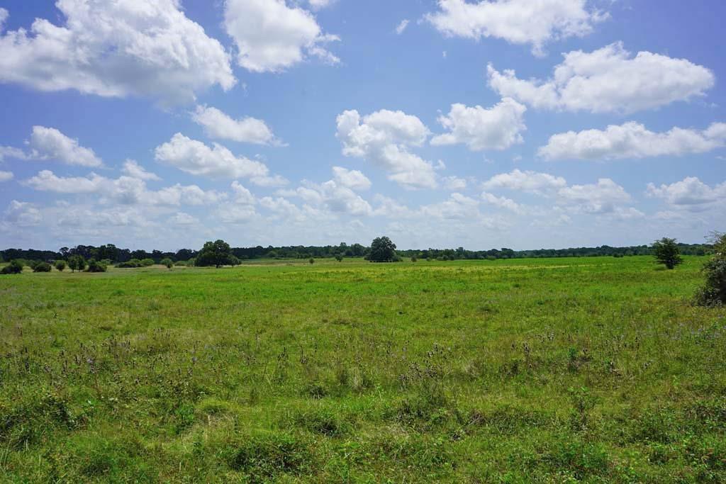 0050 County Road 419