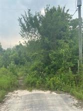 Vacant Land For Sale - 19050 Fm 1314 Road<br/> Conroe, TX 77302