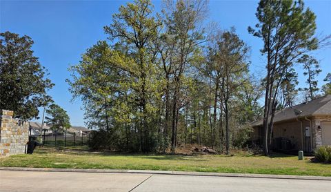 25103 Arcane Court Spring TX 77389