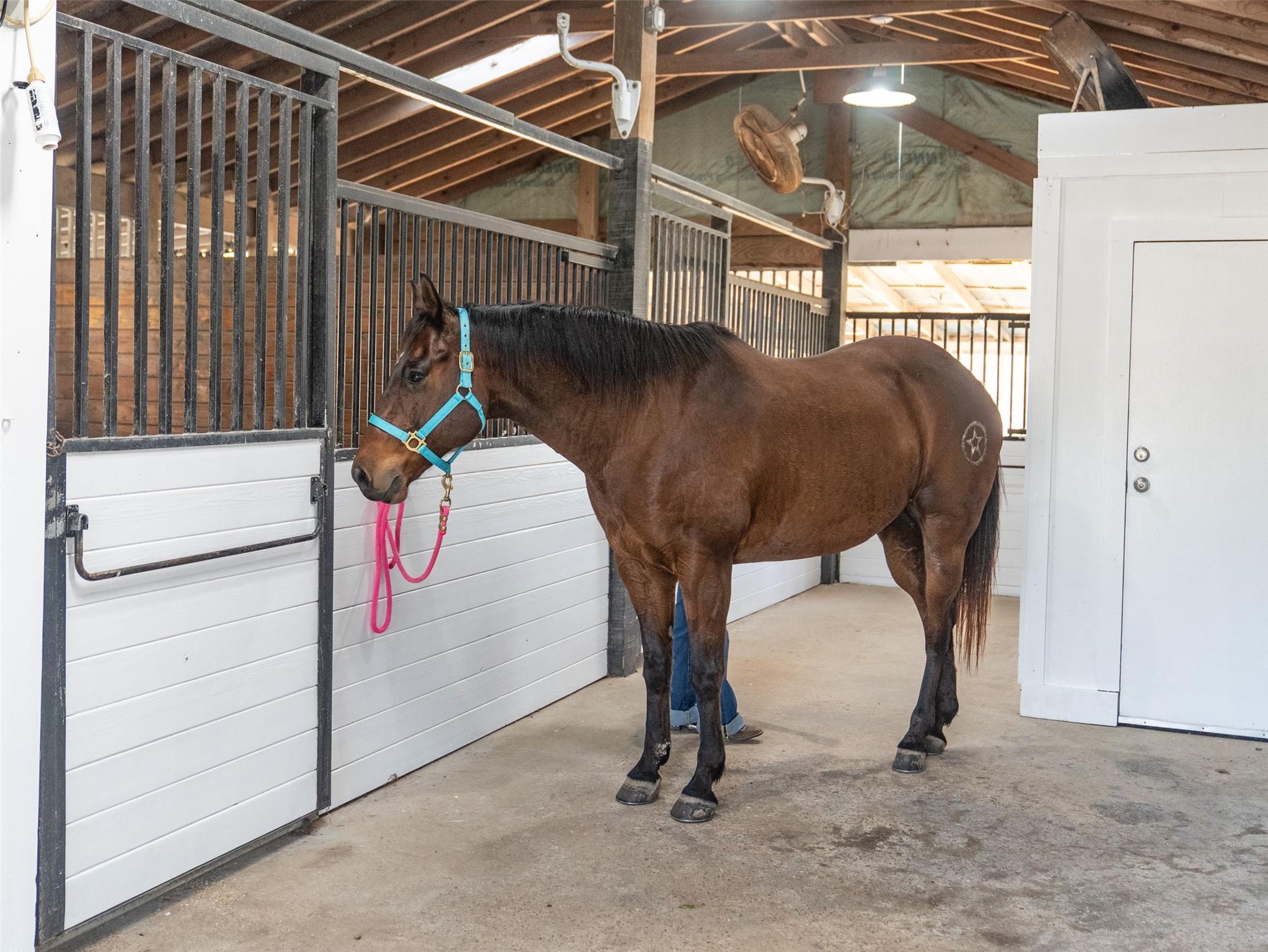 36003 Post Oak Circle