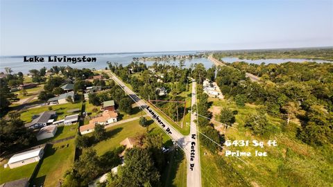 186 N Cattle Drive Onalaska TX 77360