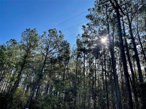 Vacant Land For Sale - 6 +/- ACS Cr 3400<br/> Colmesneil, TX 75938