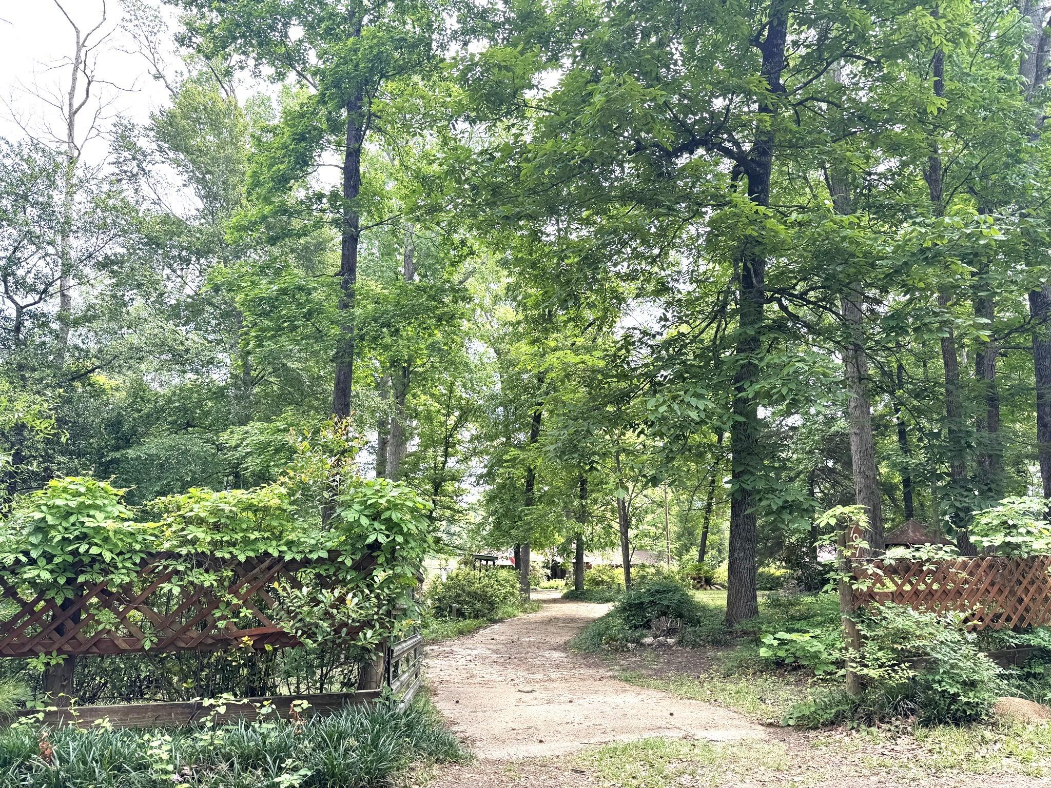 815 County Road 3170