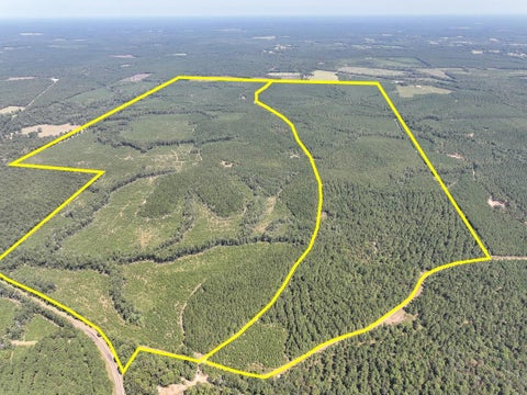 Vacant Land For Sale - T-1 Fm 256<br/> Tyler County, Woodville, TX 75979
