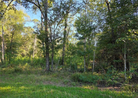 Vacant Land For Sale - 00 Tidwell Lane<br/> San Jacinto County, Shepherd, TX 77371