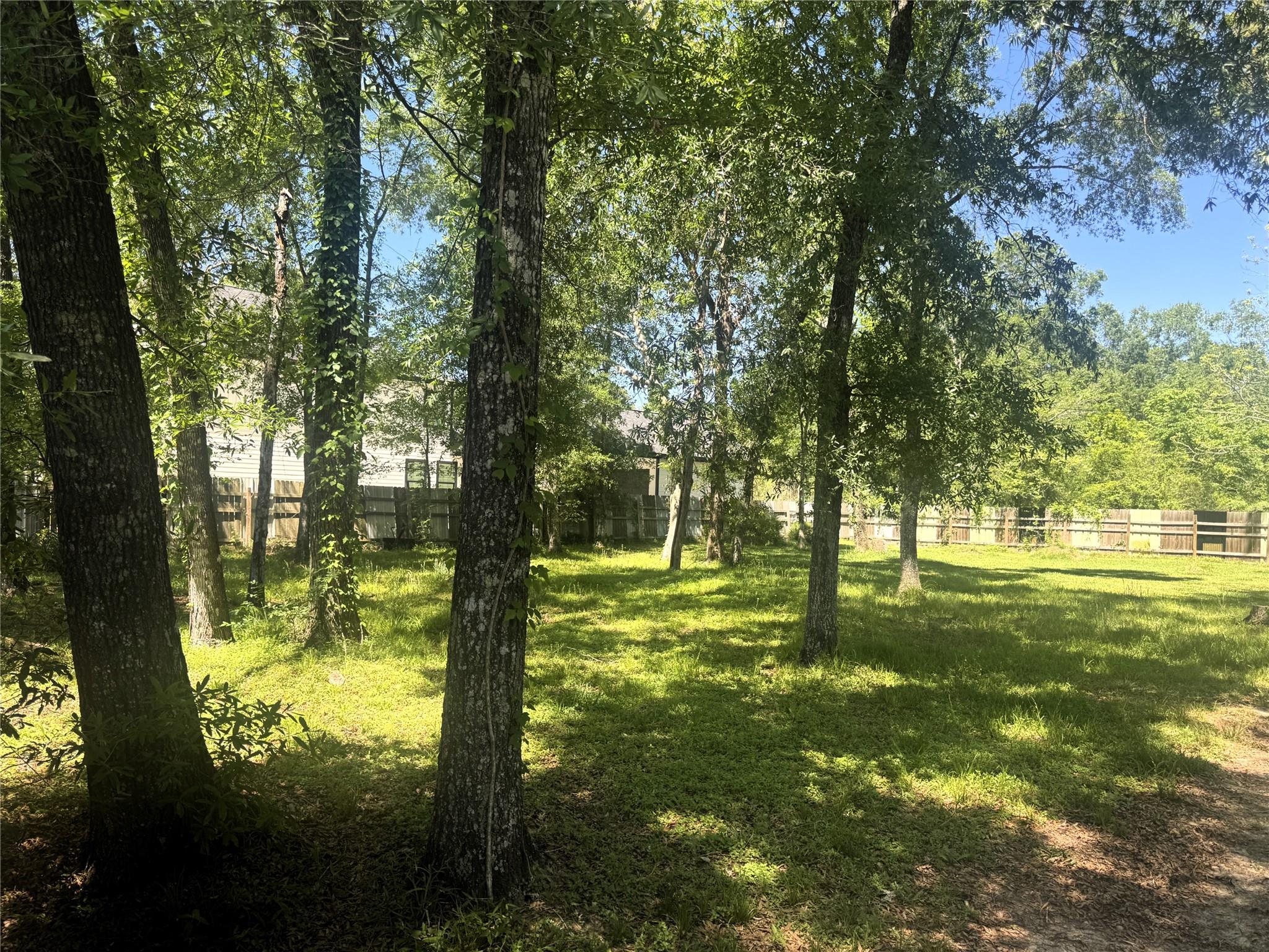 1418 Black Bear Drive