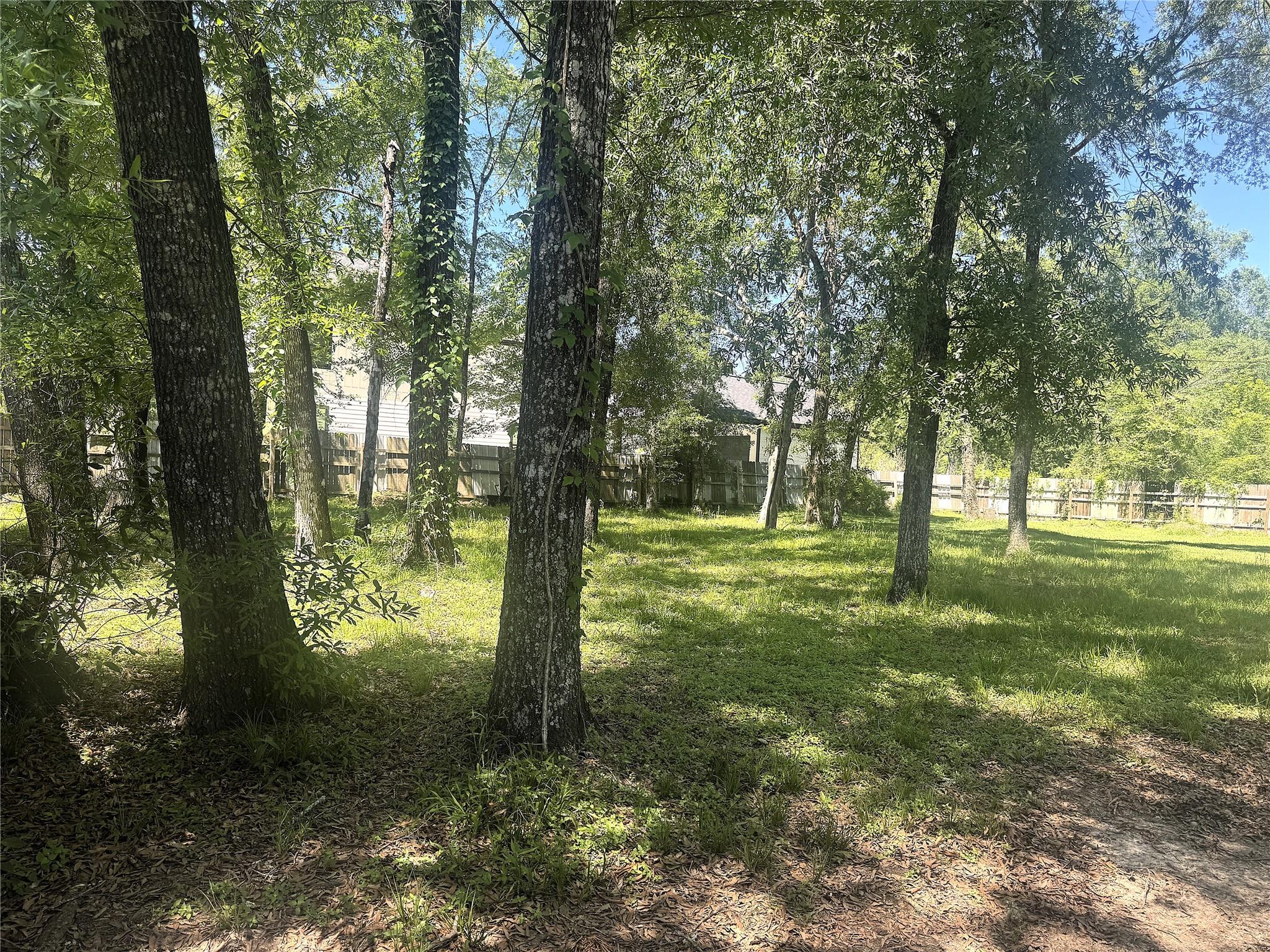 1418 Black Bear Drive