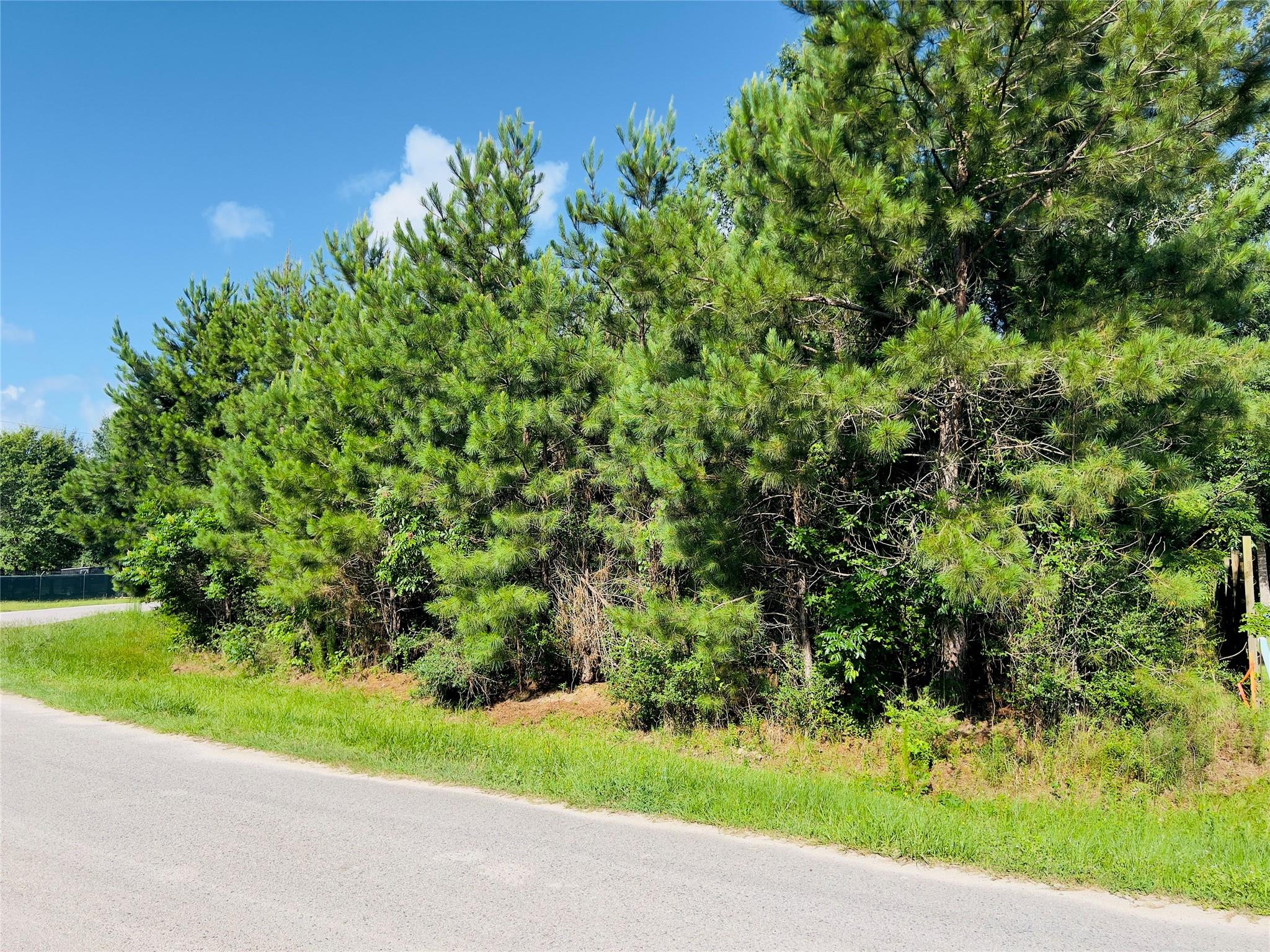 971 County Road 3415