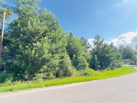 Photo of 971 County Road 3415, Cleveland, TX 77327 (MLS # 83121839)
