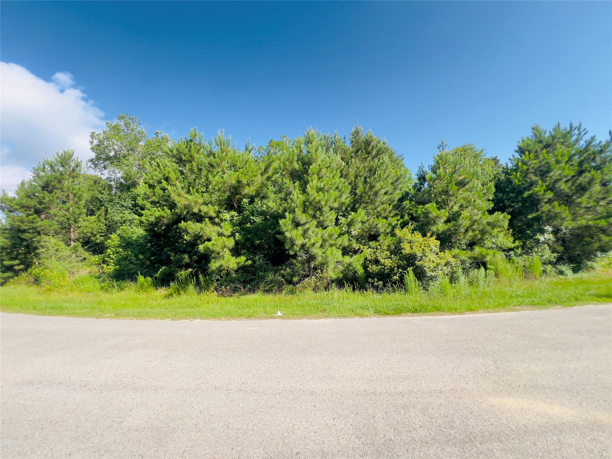 971 County Road 3415