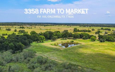 Vacant Land For Sale - 3358 Fm 166<br/> Caldwell, TX 77836