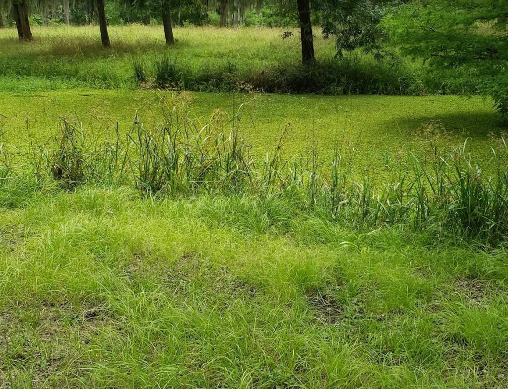 Photo of 0 Cypress Lakes Circle, Cleveland, TX 77327 (MLS # 84598948)