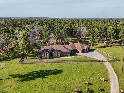 26250 Riley Road Waller TX 77484