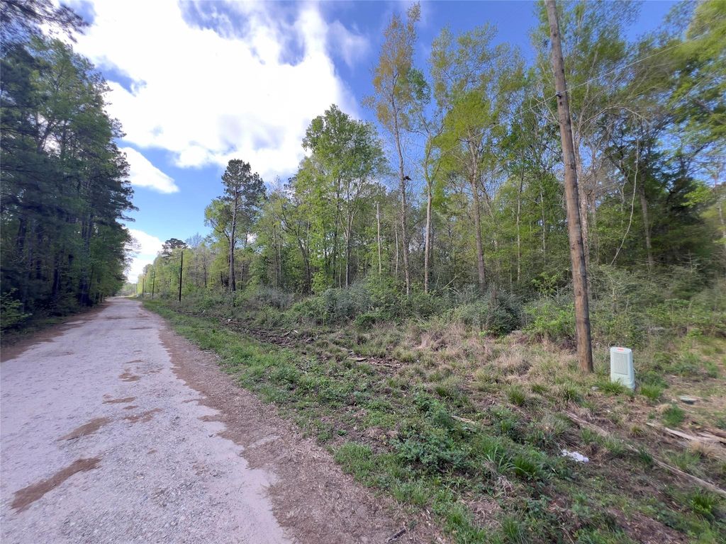 Photo of 19108 Surrey, New Caney, TX 77357 (MLS # 41361682)