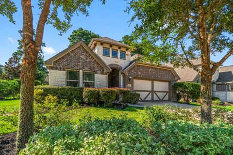 203 Speckled Woods Place Willis TX 77318